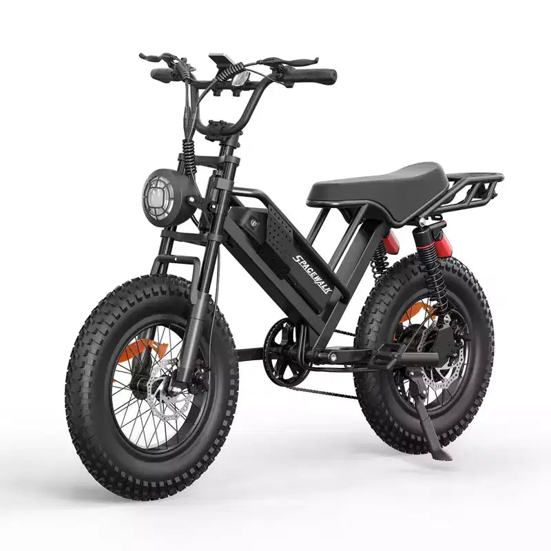 Eilleo E-bike pneus larges 20, moteur 750W (920W de pointe), 24,9 mph, autonomie 50-70 miles, batterie 48V 15,6Ah, double suspension, Shimano 7 vitesses