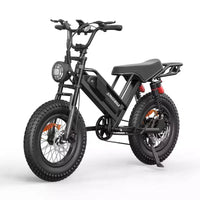 Eilleo E-bike pneus larges 20, moteur 750W (920W de pointe), 24,9 mph, autonomie 50-70 miles, batterie 48V 15,6Ah, double suspension, Shimano 7 vitesses