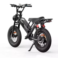 Eilleo E-bike pneus larges 20, moteur 750W (920W de pointe), 24,9 mph, autonomie 50-70 miles, batterie 48V 15,6Ah, double suspension, Shimano 7 vitesses