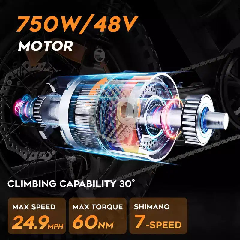 Eilleo E-bike pneus larges 20, moteur 750W (920W de pointe), 24,9 mph, autonomie 50-70 miles, batterie 48V 15,6Ah, double suspension, Shimano 7 vitesses