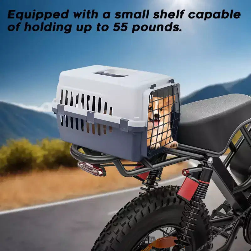 Eilleo E-bike pneus larges 20, moteur 750W (920W de pointe), 24,9 mph, autonomie 50-70 miles, batterie 48V 15,6Ah, double suspension, Shimano 7 vitesses