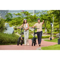 GoPowerBike GoVolt Vélo électrique pliant | Boîte ouverte