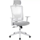 Ergonomic Mesh Desk Chair | Padded Headrest & Wheels | Gaming/Office Chair for E-Sport Room, Office, Bedroom