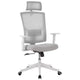 Ergonomic Reclining Office Chair  High Back Mesh Desk Chair with Adjustable Headrest, Full Lumbar Support, Home Office Chair, Gaming Chair