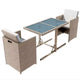 vidaXL Bistro Set Dining Table and Chairs Outdoor Furniture Poly Rattan
