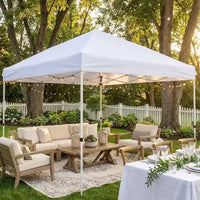 DobleePy Tente à auvent blanche 3x6 m, montage facile, hauteur réglable, imperméable et résistante aux UV, sans parois latérales, pour fête en extérieur et jardin