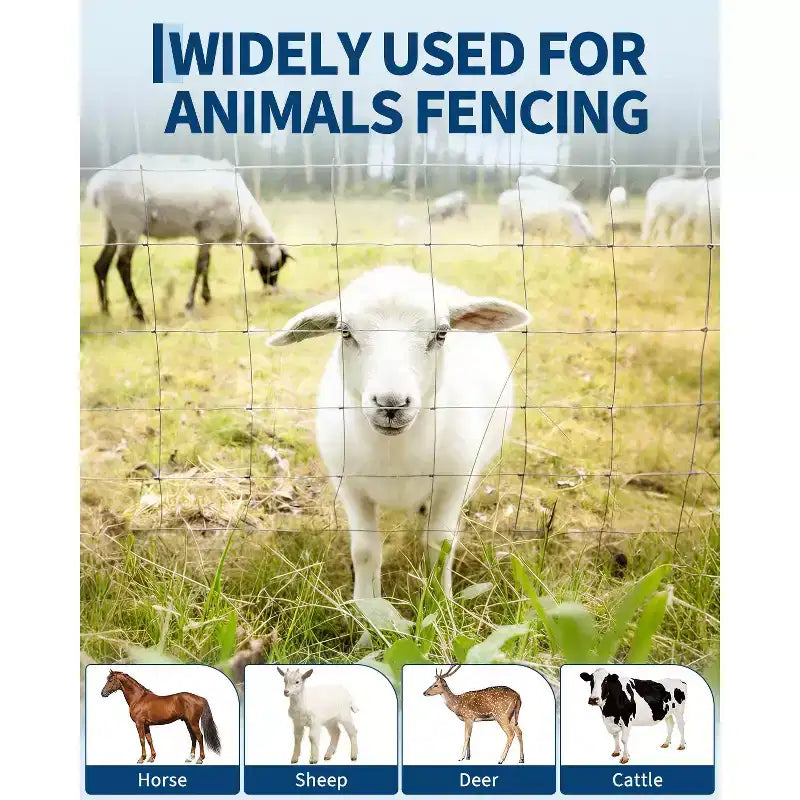 Clôture de ferme pour bétail, grillage galvanisé robuste pour bovins, porcs, chèvres, moutons, cerfs, clôture de bétail, protection de cour et enclos pour animaux