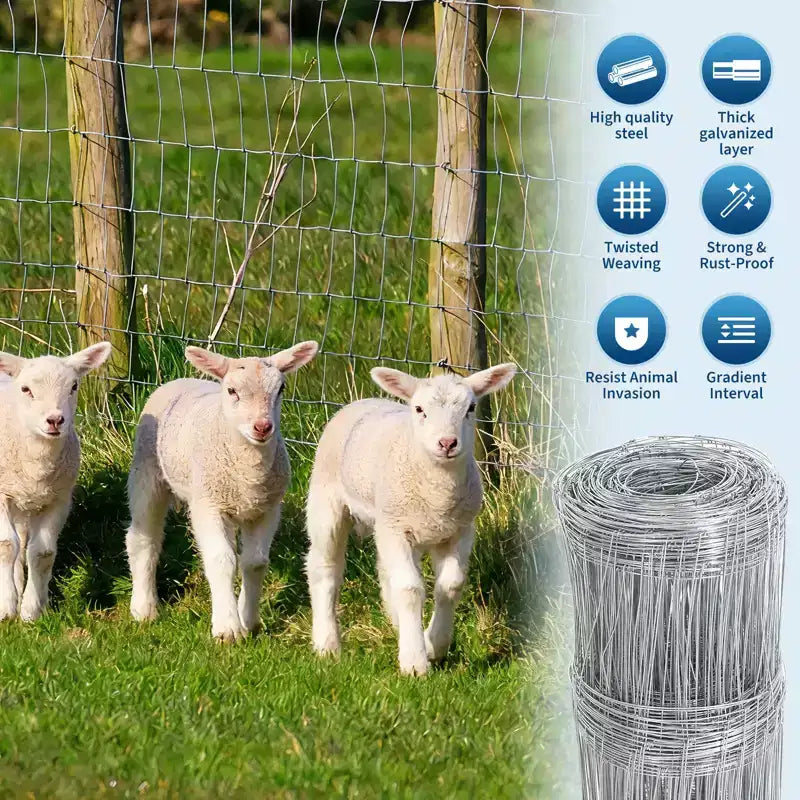 Clôture de ferme pour bétail, grillage galvanisé robuste pour bovins, porcs, chèvres, moutons, cerfs, clôture de bétail, protection de cour et enclos pour animaux