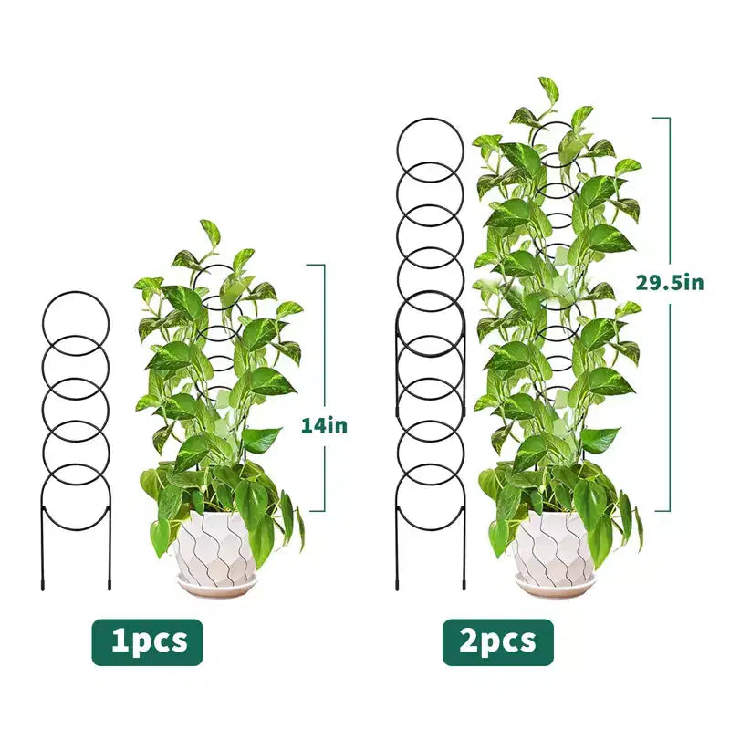 12 mini-treillis pour plantes en pot, treillis en métal robuste et antirouille pour plantes d'intérieur