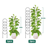12 pièces petit treillis pour plantes en pot, treillis métallique robuste et solide antirouille, support pour plantes d'intérieur