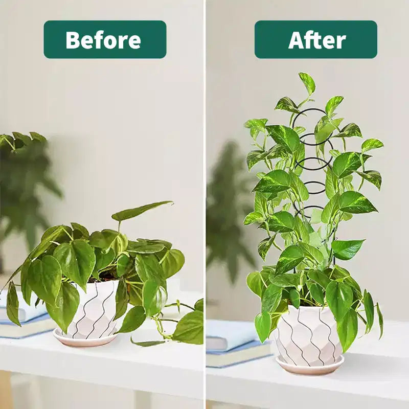 12 mini-treillis pour plantes en pot, treillis en métal robuste et antirouille pour plantes d'intérieur