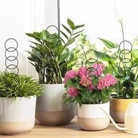 12 pièces petit treillis pour plantes en pot, treillis métallique robuste et solide antirouille, support pour plantes d'intérieur