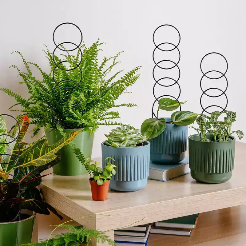 12 pièces petit treillis pour plantes en pot, treillis métallique robuste et solide antirouille, support pour plantes d'intérieur
