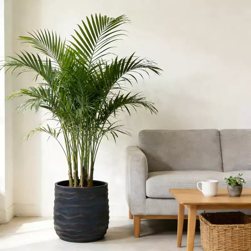 Lot de 2 grandes jardinières rondes, 40x40 cm et 30x28 cm, en oxyde de magnésium léger, texture béton, intérieur extérieur