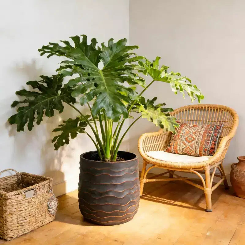 Lot de 2 grandes jardinières rondes, 40x40 cm et 30x28 cm, en oxyde de magnésium léger, texture béton, intérieur extérieur