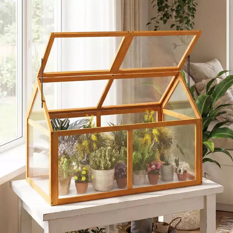 Serre froide en bois Costway avec panneaux transparents et toit réglable pour intérieur et extérieur