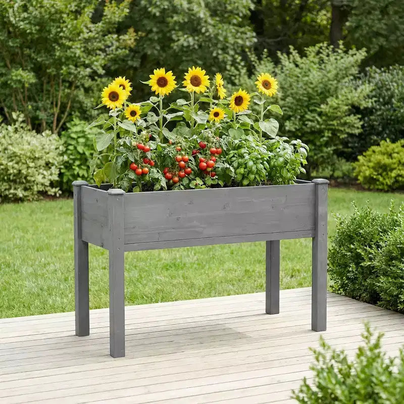 Grand carré potager surélevé avec pieds, 48 L x 24 l x 30 H, en bois massif