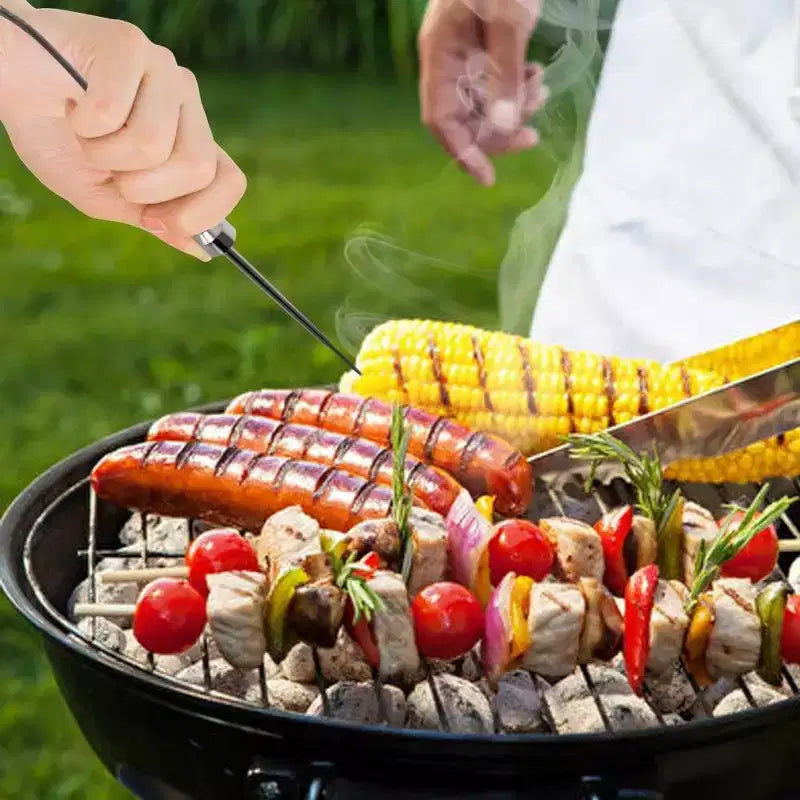Sondes de température de rechange NutriChef PRTPWIRBBQ80PG pour thermomètre sans fil Bluetooth (2 sondes)