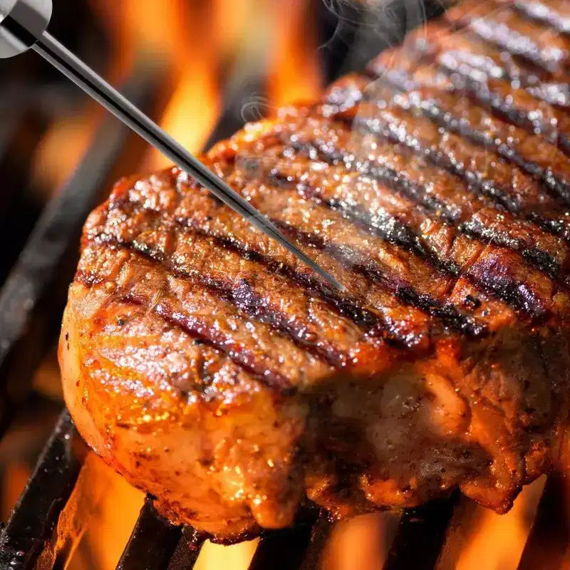 Sondes de température de rechange NutriChef PRTPWIRBBQ80PG pour thermomètre sans fil Bluetooth (2 sondes)