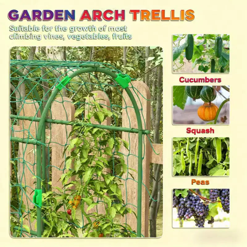 Treillis arche métallique en A pour plantes grimpantes extérieures avec filet de grimpe