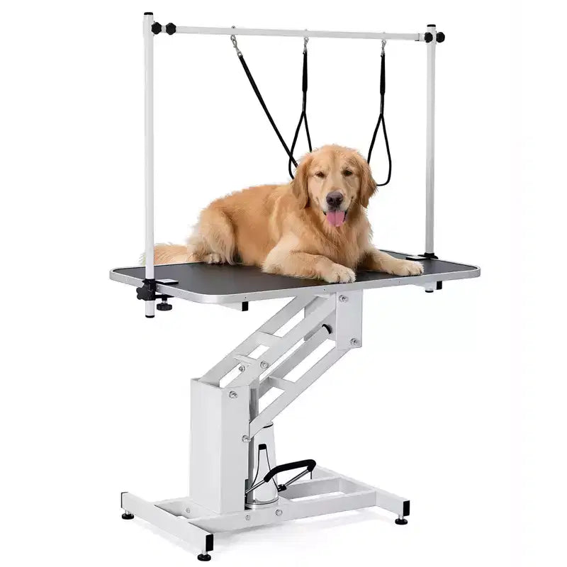 Table de toilettage pour grands chiens de 43,6 pouces, robuste et réglable en hauteur, avec bras supérieur et sangle de maintien. Hauteur réglable de 22 à 39 pouces, jusqu'à 350 lb.