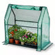 NAYSAYE Mini serre portable, petite serre couverture de plantes tente avec tapis impermeable PE 36 x 18 x 33 pouces pour jardin, petites plantes, interieur et extérieur