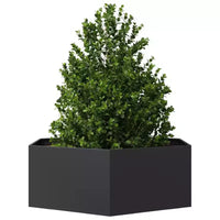 vidaXL Jardinière de jardin noir acier grande jardinière de jardin durable