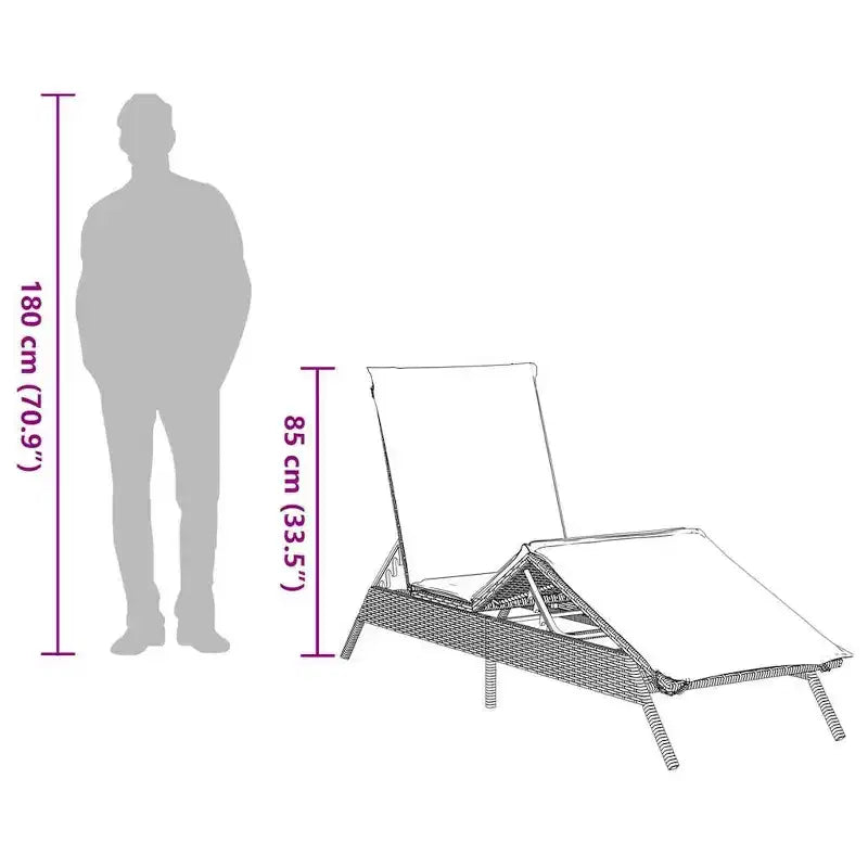 vidaXL Bain de soleil de patio en rotin PE, taille standard