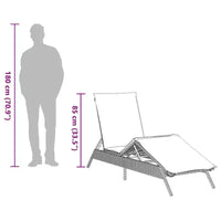 vidaXL Bain de soleil de patio en rotin PE, taille standard