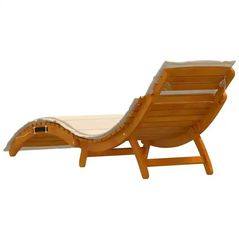 vidaXL Bain de soleil 21,65 x 72,44 x 25,20 po en bois d'acacia massif