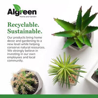 Algreen Receptacle Grand couvre-rocher decoratif d'extérieur, accent paysager de pelouse et de jardin pour dissimuler fils ou autres equipements, gris chaud