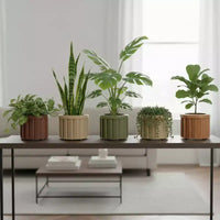 Jardinière ronde moderne en aluminium brun cendre, petite, pour interieur et extérieur, pot de fleurs texture avec drainage et finition durable