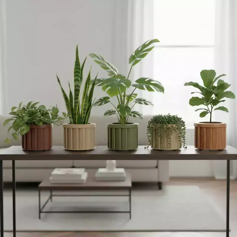 Jardinière ronde moderne en aluminium brun cendre, petite, pour interieur et extérieur, pot de fleurs texture avec drainage et finition durable