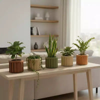 Jardinière ronde moderne en aluminium brun cendre, petite, pour interieur et extérieur, pot de fleurs texture avec drainage et finition durable