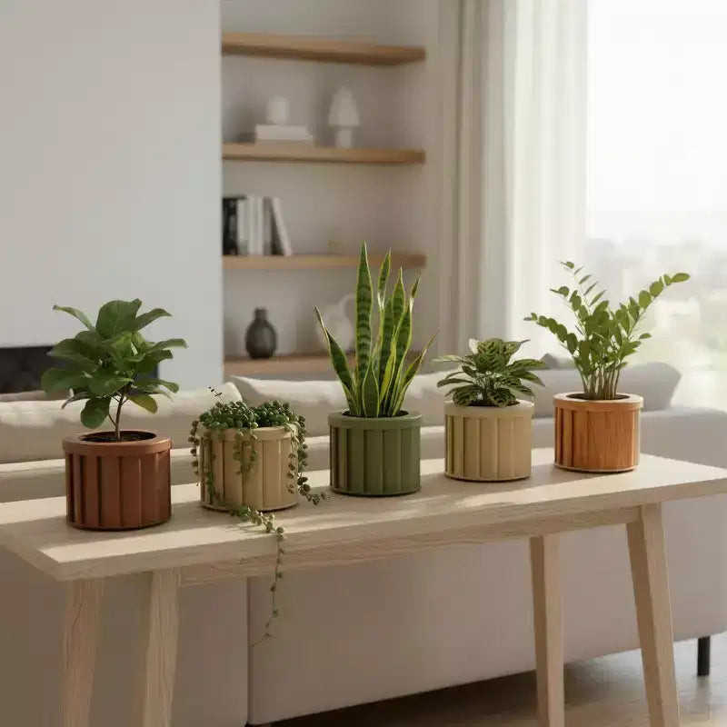 Jardinière ronde moderne en aluminium brun cendre, petite, pour interieur et extérieur, pot de fleurs texture avec drainage et finition durable