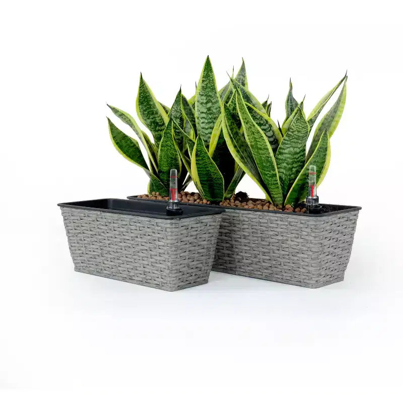 Lot de 2 jardinières rectangulaires grises en osier à arrosage automatique pour interieur/extérieur, pot de fleurs avec reservoir, drainage et design tout temps