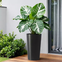 Lot de 2 jardinières carrées hautes noires pour plantes d'extérieur, pots de fleurs modernes fuselés pour porche, patio, entrée et décoration intérieure