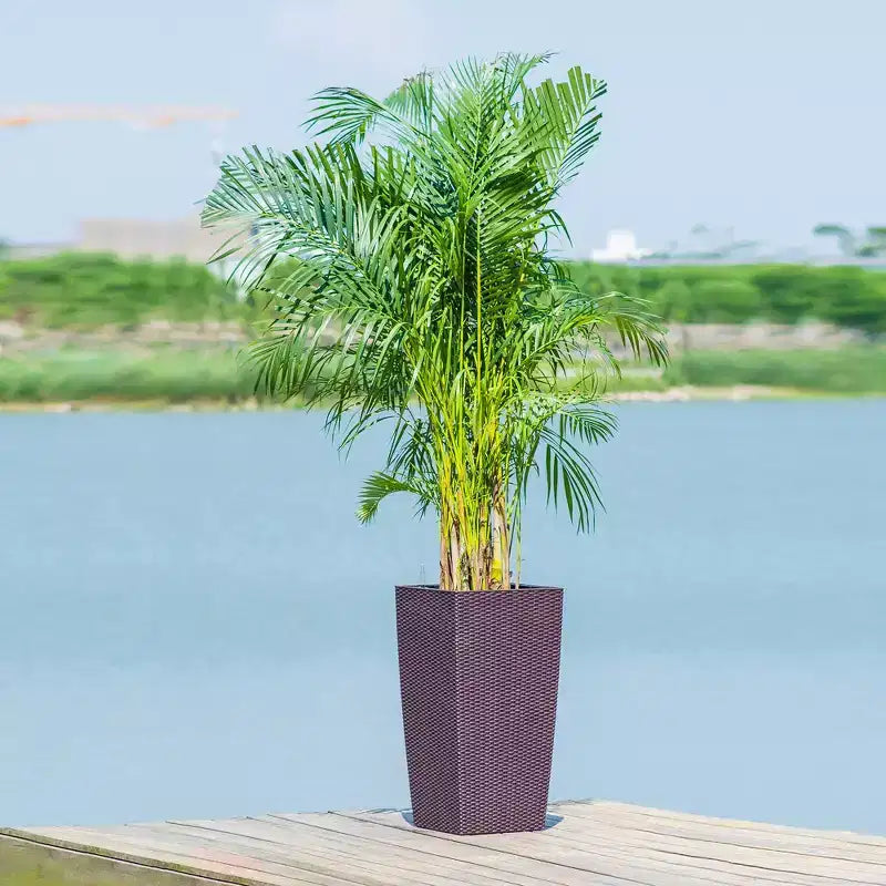 Jardinière à arrosage automatique brune 30 po de haut pour usage extérieur/interieur, grand pot de fleurs en faux rotin avec moniteur d'eau et seau interieur