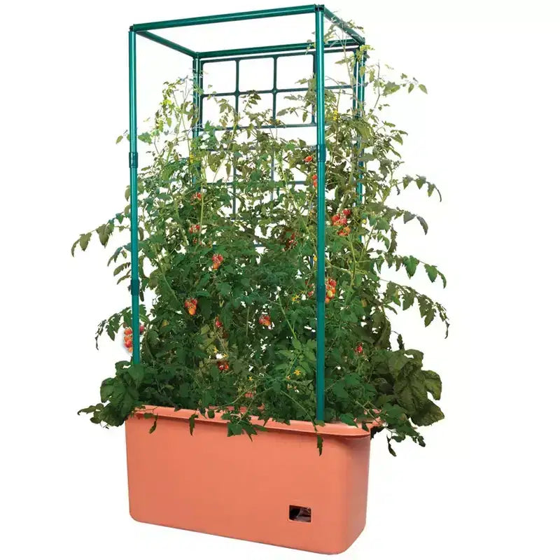 Hydrofarm GCTR Système de plantation de tomates 10 Gal et tour treillis 4' sur roulettes