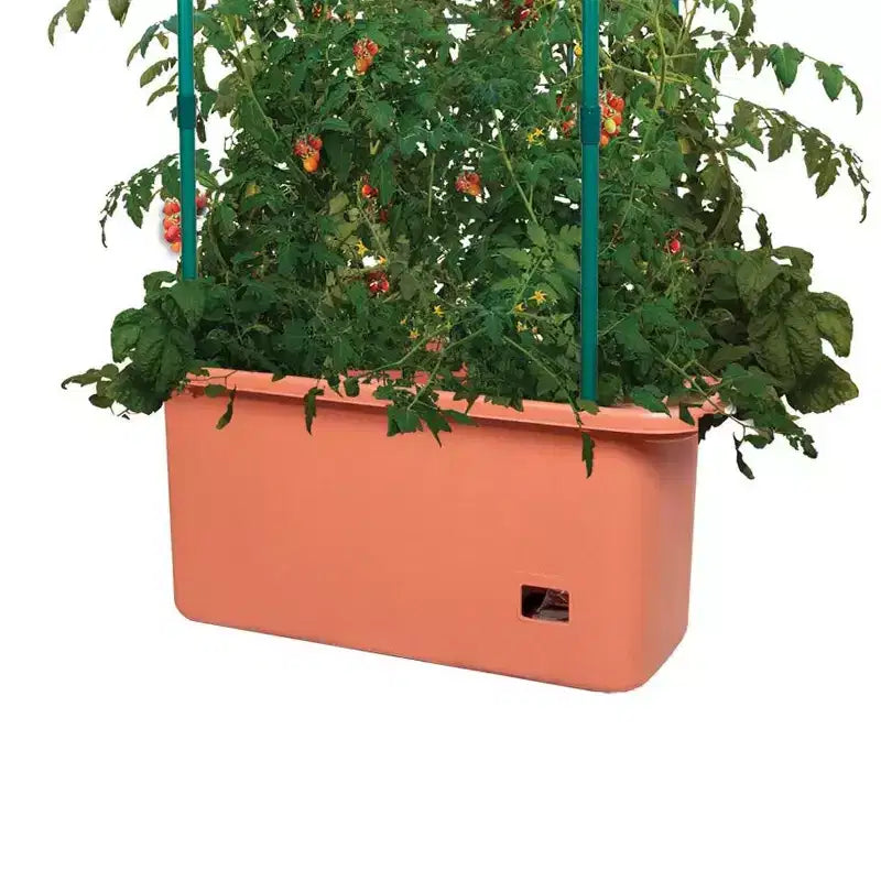 Hydrofarm GCTR Système de plantation de tomates 10 Gal et tour treillis 4' sur roulettes