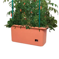 Hydrofarm GCTR Système de plantation de tomates 10 Gal et tour treillis 4' sur roulettes