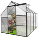 Mondawe 6x8 FT Polycarbonate Greenhouse Raised Base and Anchor Aluminum Heavy Duty Walk-in Greenhouses for Outdoor Backyard
