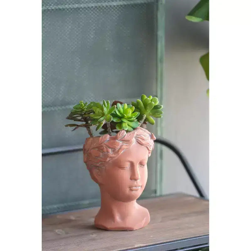 Jardinière Buste Visage Marron 6x9 Pot de Fleur Décoratif Intérieur Extérieur pour Patio Balcon Porche Entrée Étagère de Présentation