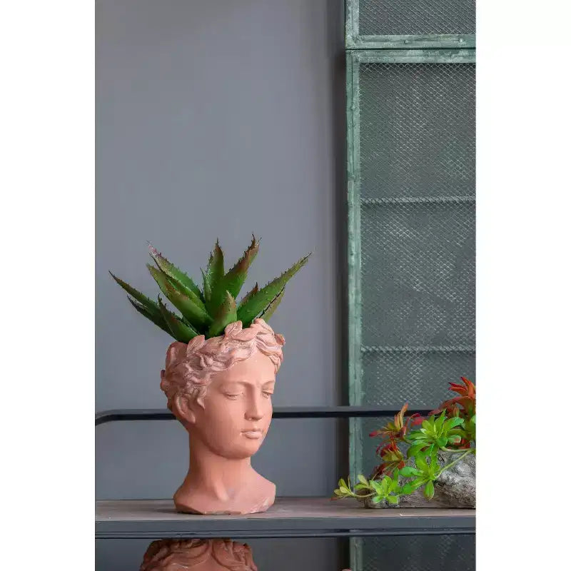 Jardinière Buste Visage Marron 6x9 Pot de Fleur Décoratif Intérieur Extérieur pour Patio Balcon Porche Entrée Étagère de Présentation