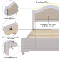 Lit plate-forme capitonné Queen avec éclairage LED réglable