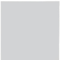 HomeRoots 47 Armoire de cuisine ou de rangement en bois blanc - 16,9' X '47,4' X '12,3