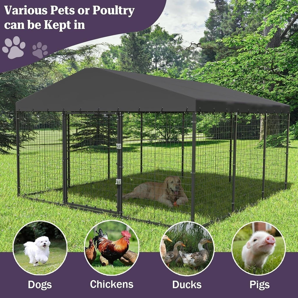 Grand chenil d'extérieur pour chien L 118 x P 118 x H 70, cage robuste pour chien avec toit imperméable