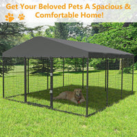 Grand chenil d'extérieur pour chien L 118 x P 118 x H 70, cage robuste pour chien avec toit imperméable