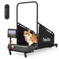 Tapis de course Costway pour chiens de petite et moyenne taille - Machine d'entraînement pour animaux de compagnie en intérieur