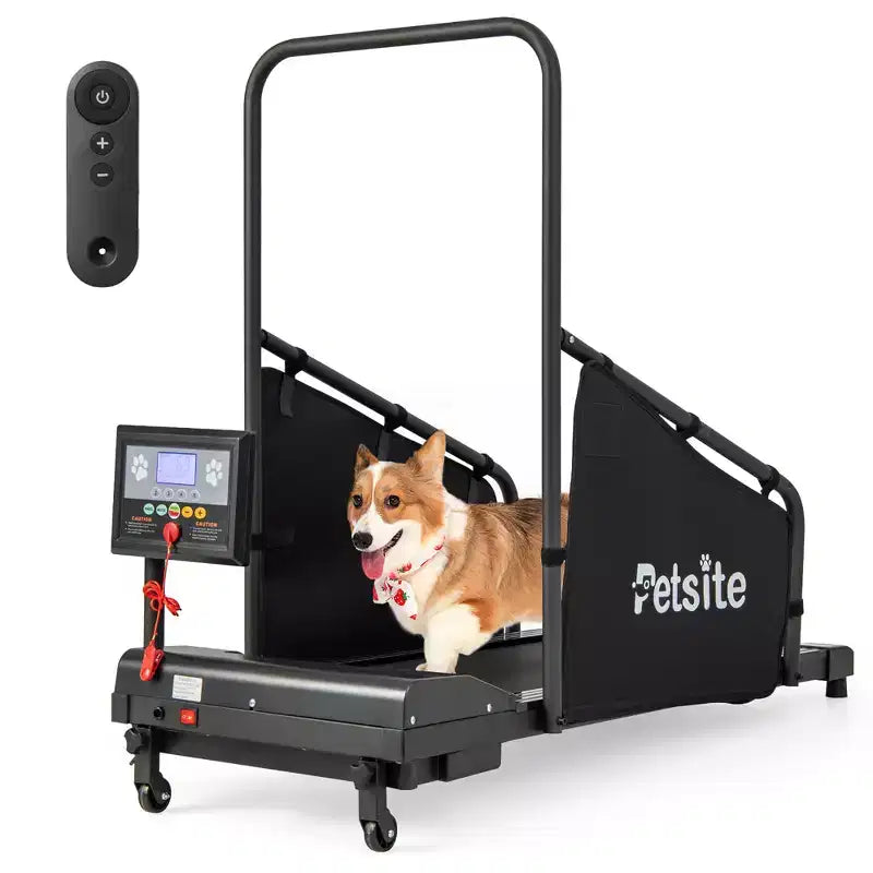 Tapis de course Costway pour chiens de petite et moyenne taille - Machine d'entraînement pour animaux de compagnie en intérieur
